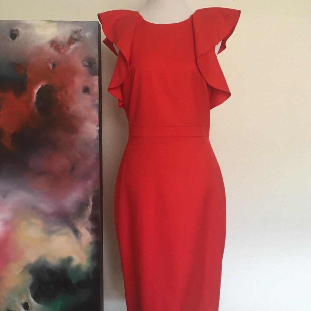 J crew NWOT flutter sleeve dress, size 4